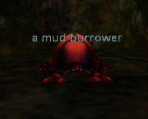 a_mud_burrower.jpg