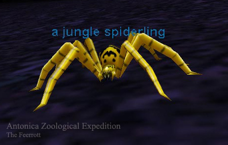 ajunglespiderling.jpg