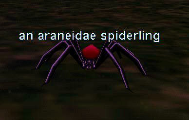 an_araneidae_spiderling.jpg